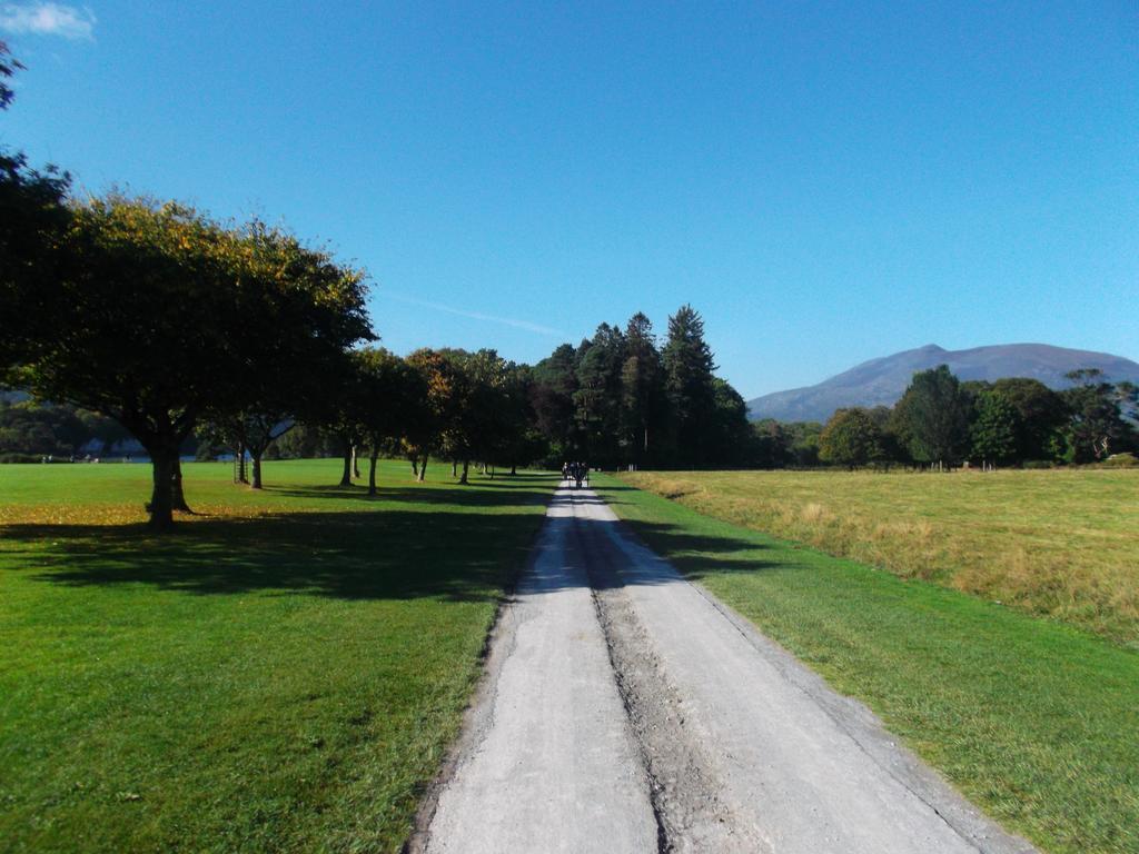 No 1 Killarney Holiday Village Vacation Home 客房 照片