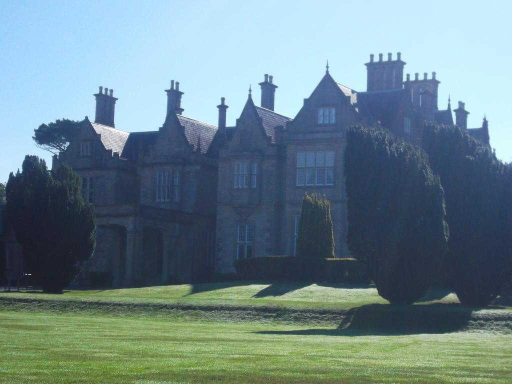 No 1 Killarney Holiday Village Vacation Home 客房 照片