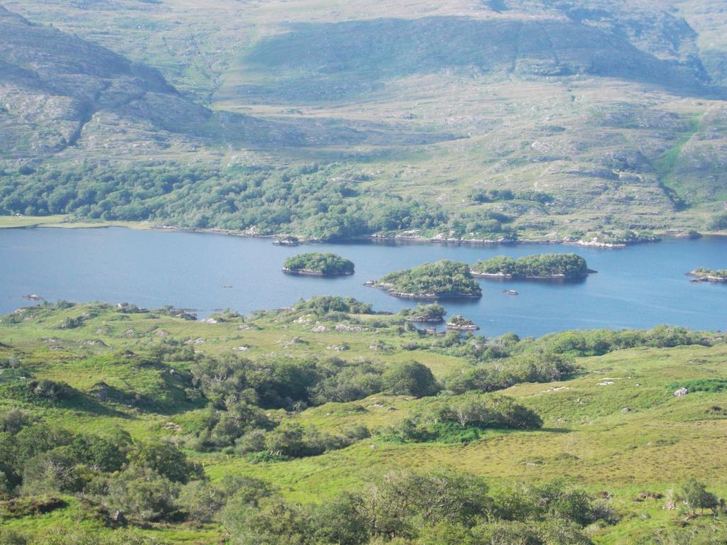 No 1 Killarney Holiday Village Vacation Home 客房 照片